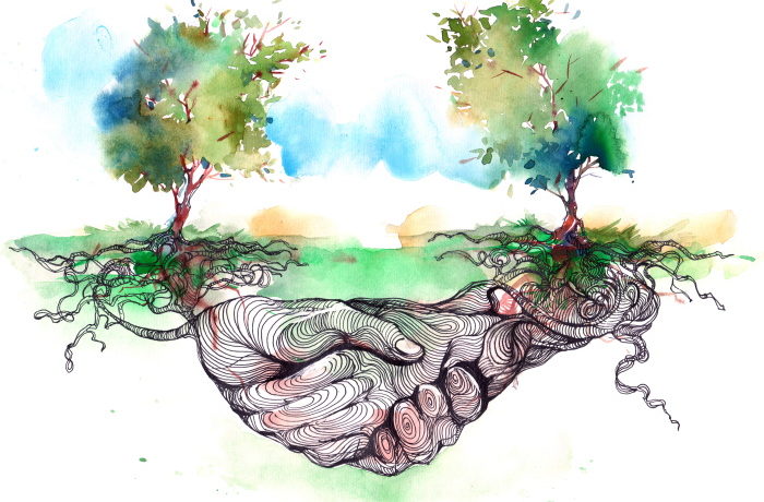 Vesivärikuva kahdesta puusta, jonka juurista muodostuvat kädet kättelevät maan alla