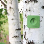 Miltä näyttää Suomen energiatulevaisuus ja kuinka turvata luonnon monimuotoisuus? – Bioenergiapäivä Tampere-talolla 24.10.22