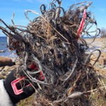 Luonnosta löytyneet hylätyt siimat, verkot ja muut kalanpyydykset koitetaan saada kierrätykseen – Voit ilmoittaa pyydyksistä verkkopalvelussa