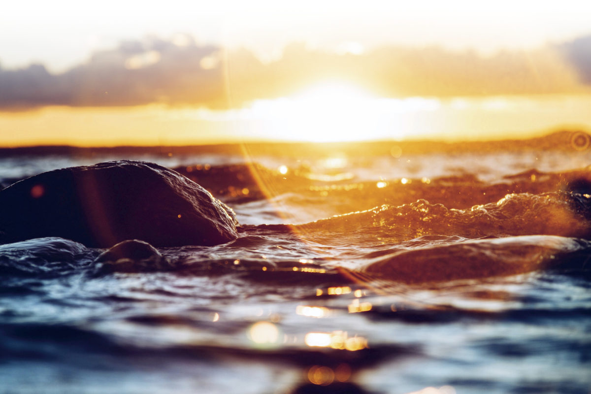 Uusi Euroopan komissio aikoo pit&auml;&auml; kiirett&auml; ilmastoneutraliteettitavoitteissaan. Komissio aikoo tehd&auml; jo maaliskuussa ehdotukset eurooppalaisesta ilmastolaista, kansalaisten ilmastositoumuspaketista, EU:n biodiversiteettistrategiasta, EU:n teollisuusstrategiasta sek&auml; kiertotalouden toimintasuunnitelmasta.